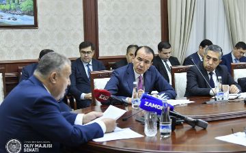 В Сенате жестко раскритиковали работу Минкульта