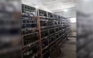 В Сырдарье накрыли подпольную криптоферму с миллионными оборотами