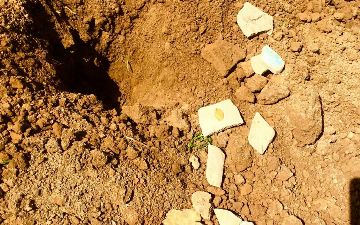 Житель Термеза нашел у себя в огороде монету Сельджукидов — фото