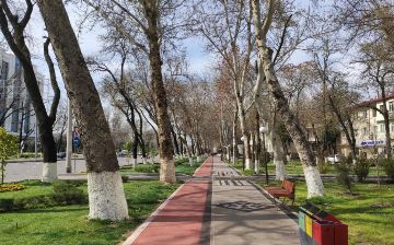 Россиянин перечислил плюсы и минусы релокации в Узбекистан