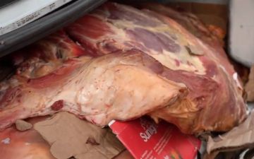 Из Сурхандарьи в Ташкент пытались доставить почти тонну испорченного мяса