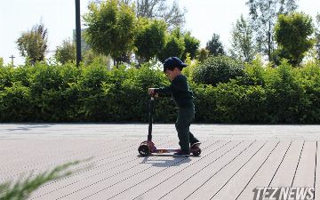 В Чирчике появится лесопарк на 80 гектаров