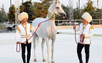 В Туркменистане установят статую коню Гурбангулы Бердымухамедова