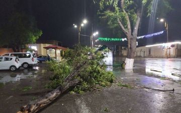 Ташкентцев экстренно предупредили о сильном ветре и дожде 