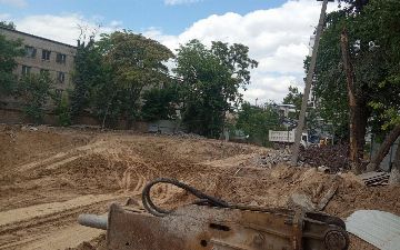 Застройщик Mustahkam Qurilish незаконно снес деревья на Лабзаке