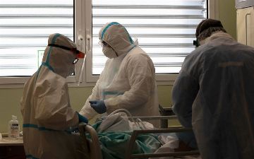 Число выявленных случаев заражения оспой обезьян в мире превысило 500