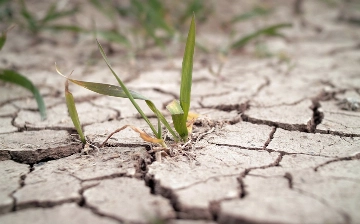Засуха грозит почти половине территории ЕС