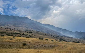 Американец поджег лес в Юте, пытаясь убить паука
