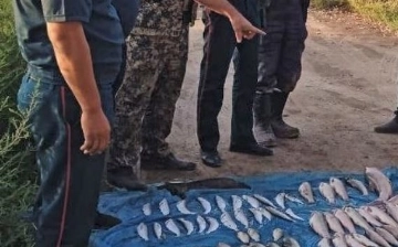 В Намангане мужчины нанесли ущерб на 128 млн сумов, наловив краснокнижную рыбу