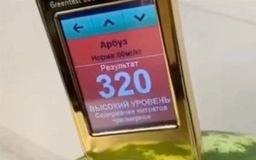 После смертельного инцидента, выяснилось, что нитраты в арбузах превышают норму – видео