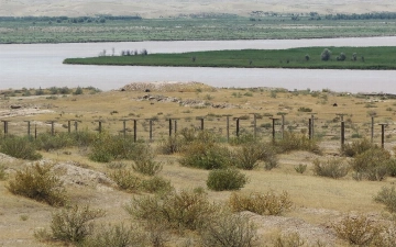 Группа из 24 афганцев нарушила госграницу Узбекистана в попытке нарвать лакрицу