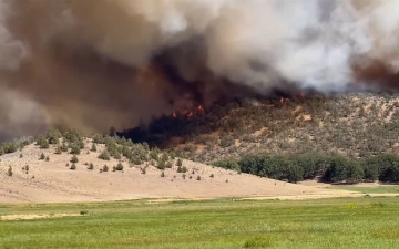 Из-за масштабного лесного пожара в Калифорнии эвакуировали тысячи людей