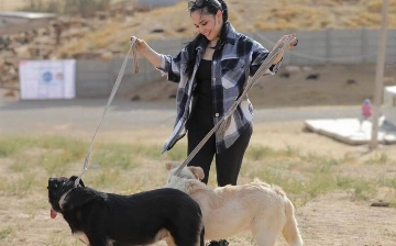 «Ты сама собака, поэтому помогаешь им»: Луизу Расулову захейтили за помощь приютам для животных – видео