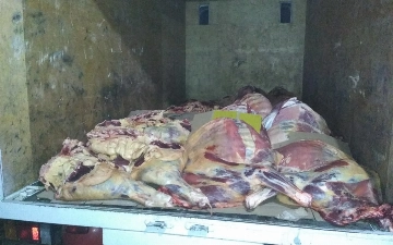В Ташкент пытались провезти 1,2 тонны мяса неизвестного происхождения