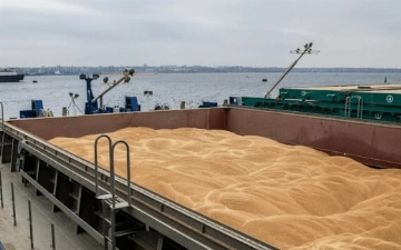 Из Украины снова начали вывозить зерно