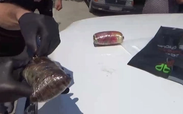 СГБ поймала на Юнусабаде наркокурьеров, планировавших продать опиум за $18 тысяч — видео