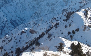 МЧС объявило лавинную опасность по Чимгану