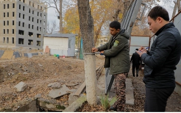 Застройщик Vinera Tower снова погубил деревья