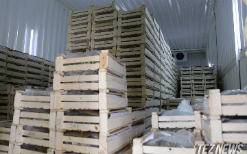 Какие зарубежные продукты питания пользуются наибольшим спросом в Узбекистане — статистика