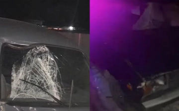 В двух областях Узбекистана произошли аварии, унесшие жизни четырех пешеходов