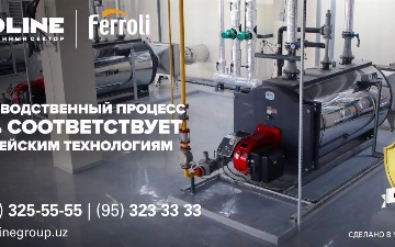 Стальные водогрейные котлы FERROLI: качественное теплоснабжение