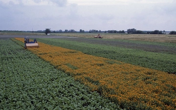 В Узбекистане запустят сельхозпроекты на $400 млн