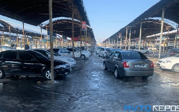 Узбекистанцы смогут проверить историю автомобиля через ЕПИГУ