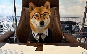 Ilon Mask itni Twitter bosh direktori etib tayinladi