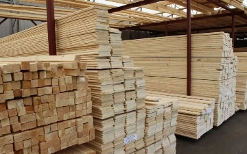 Из России в Узбекистан чуть не отправили зараженные пиломатериалы 