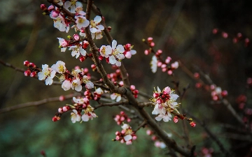 Синоптики рассказали о погоде на март