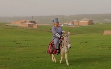 В Кашкадарье вручили орден медсестре, разъезжающей 37 лет до пациентов на осле (видео)