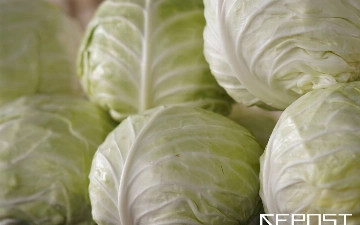 Как в Узбекистане будут бороться с ростом цен на продукты 