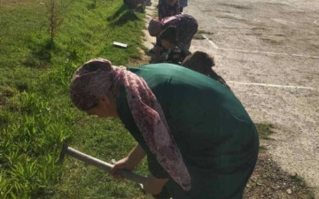 В Узбекистане утвердили наказания за привлечение педагогов к принудительным работам