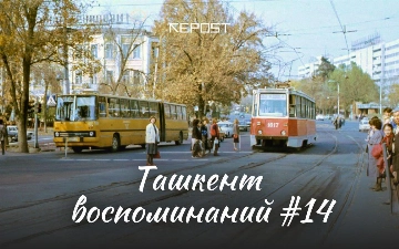 Ташкент воспоминаний – вековая история ТашМИ, улица Истиклол и легендарные пирожки на Бешагаче