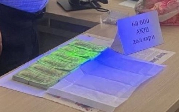 В трех областях Узбекистана поймали мошенников, решивших нажиться на продаже земель 