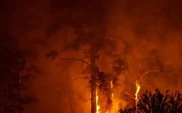 Крупный лесной пожар в Казахстане локализовали спустя неделю