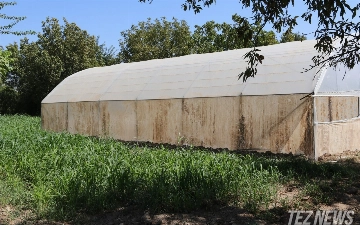 Власти Узбекистана отменили все льготы по прямому выделению земельных участков