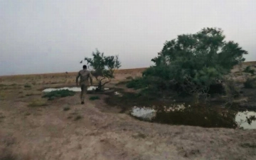 В Бухаре браконьеры выстрелили в экоинспектора (видео)