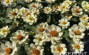 Узбекистанцев ждет небольшой спад жары 