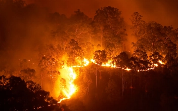 Более тысячи человек числятся пропавшими без вести после пожаров на Гавайях