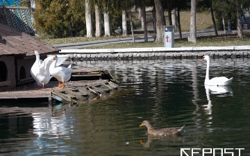 Воздух в Ташкенте на 25 августа: уровень загрязнения превысил норму почти в три раза