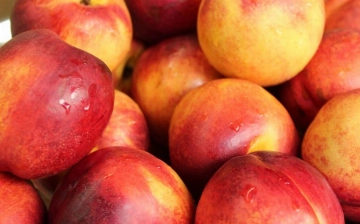 В Узбекистане не перестают дорожать персики и нектарины