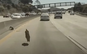 Tesla Cybertruck стал причиной первой аварии