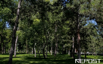 Воздух в Ташкенте на 24 сентября: уровень загрязнения превысил норму в пять раз