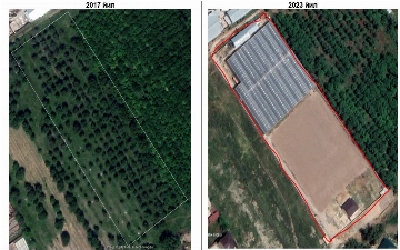 Возбуждено дело по факту вырубки деревьев и строительства незаконных объектов в дендропарке Ташобласти
