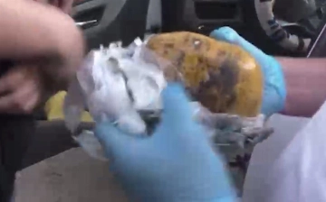 СГБ накрыла наркокурьеров с 9 кг опия и гашиша (видео)