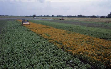 Узбекистан намерен привлечь $15 млрд инвестиций на развитие сельского хозяйства