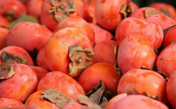 Из Узбекистана в Россию завезли зараженную вредителем хурму