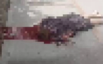 В Намангане вынесли приговор мужчине, убившему бывшую жену перед зданием пединститута