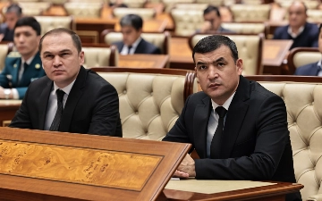 Сенаторы одобрили переход на смешанную избирательную систему